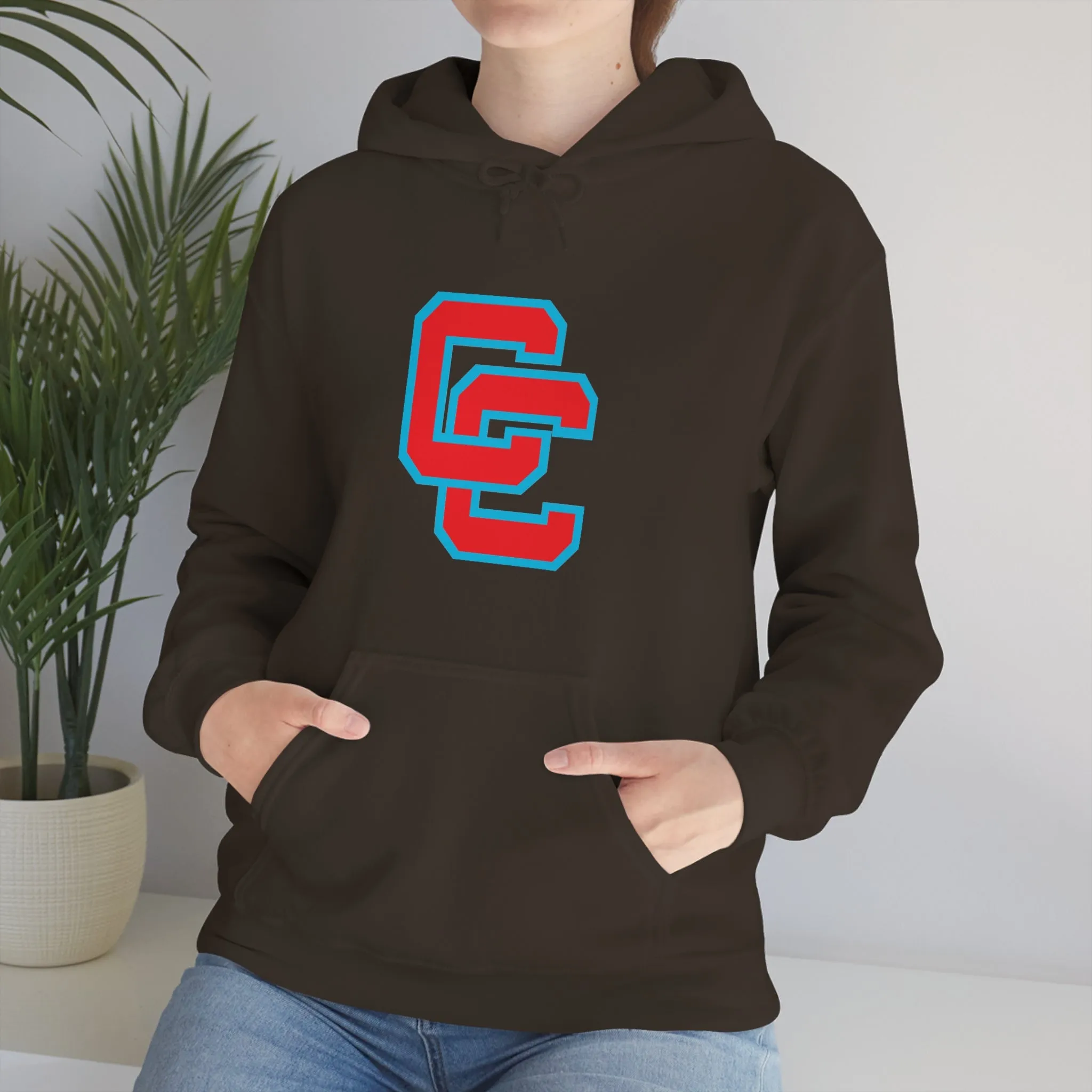 Charlotte Catholic Unisex Heavy Blend™ Hooded Sweatshirt