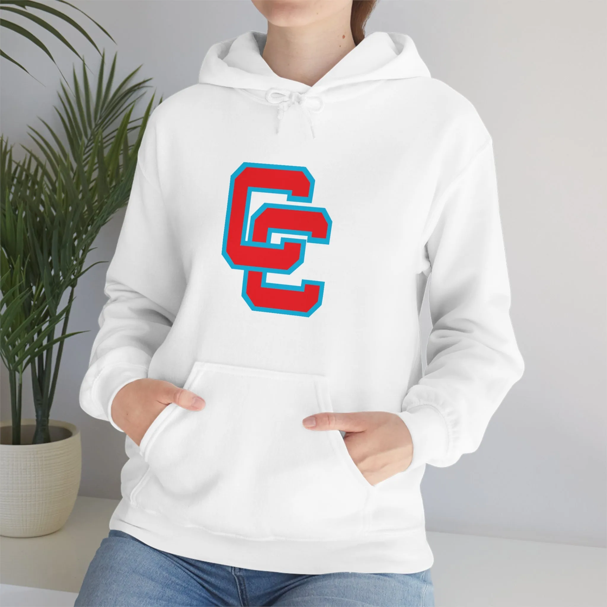 Charlotte Catholic Unisex Heavy Blend™ Hooded Sweatshirt