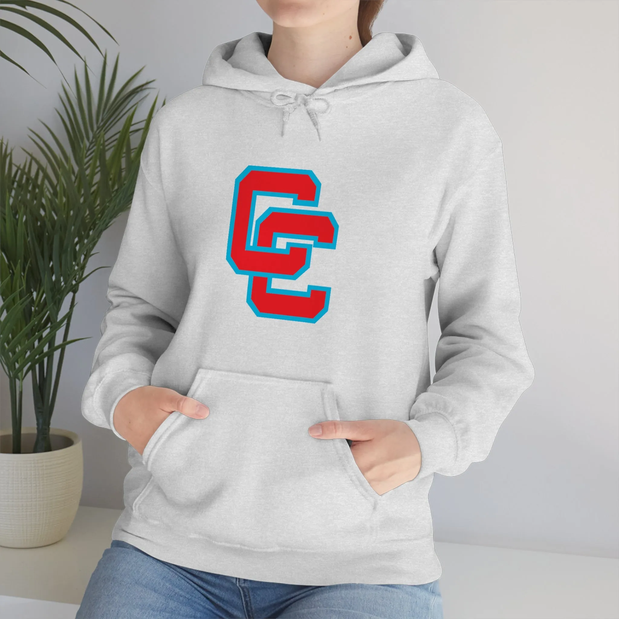 Charlotte Catholic Unisex Heavy Blend™ Hooded Sweatshirt