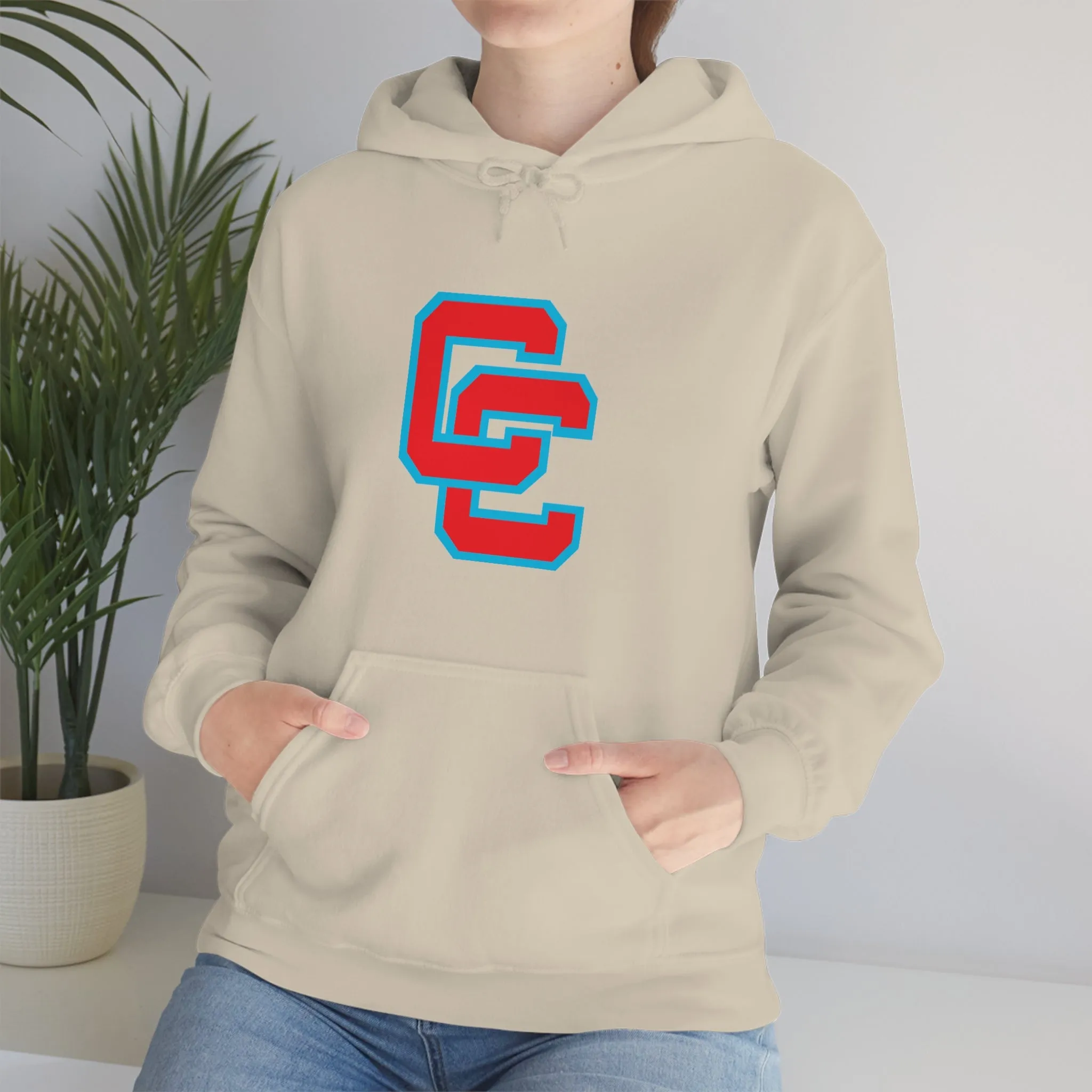 Charlotte Catholic Unisex Heavy Blend™ Hooded Sweatshirt