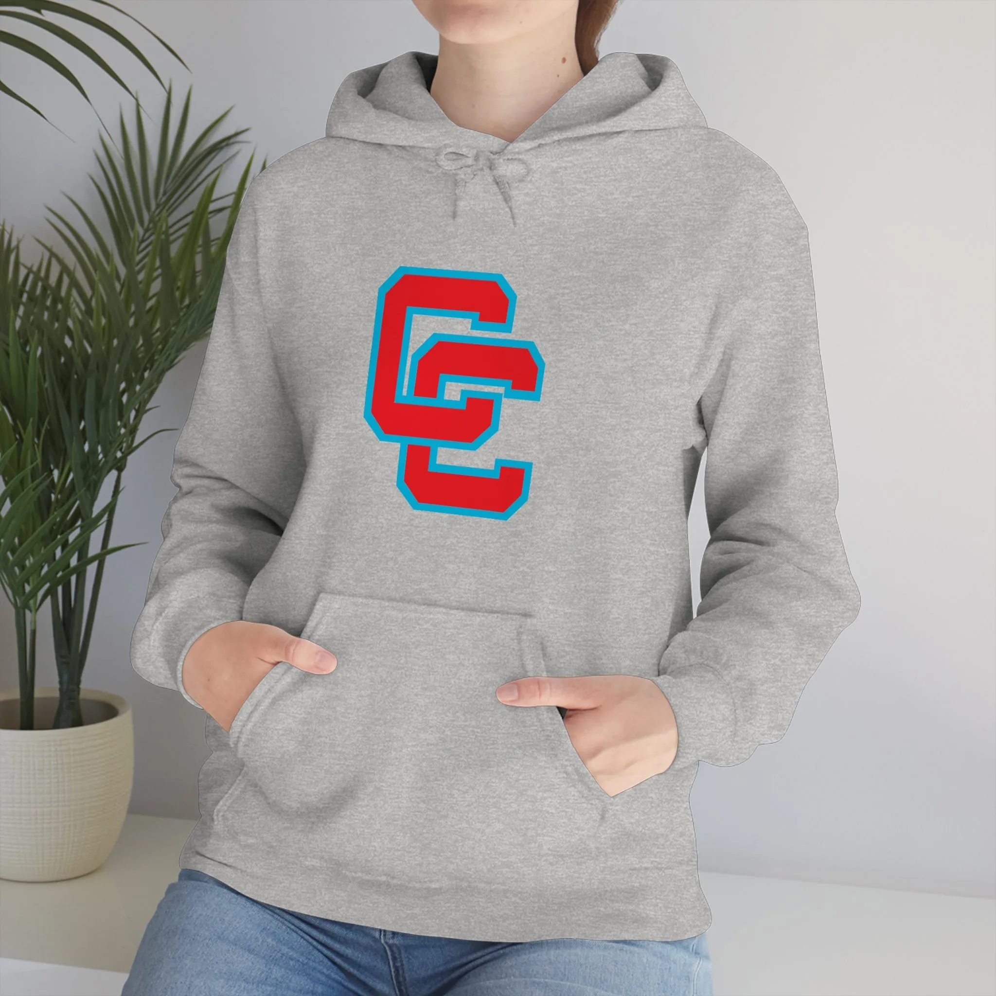 Charlotte Catholic Unisex Heavy Blend™ Hooded Sweatshirt