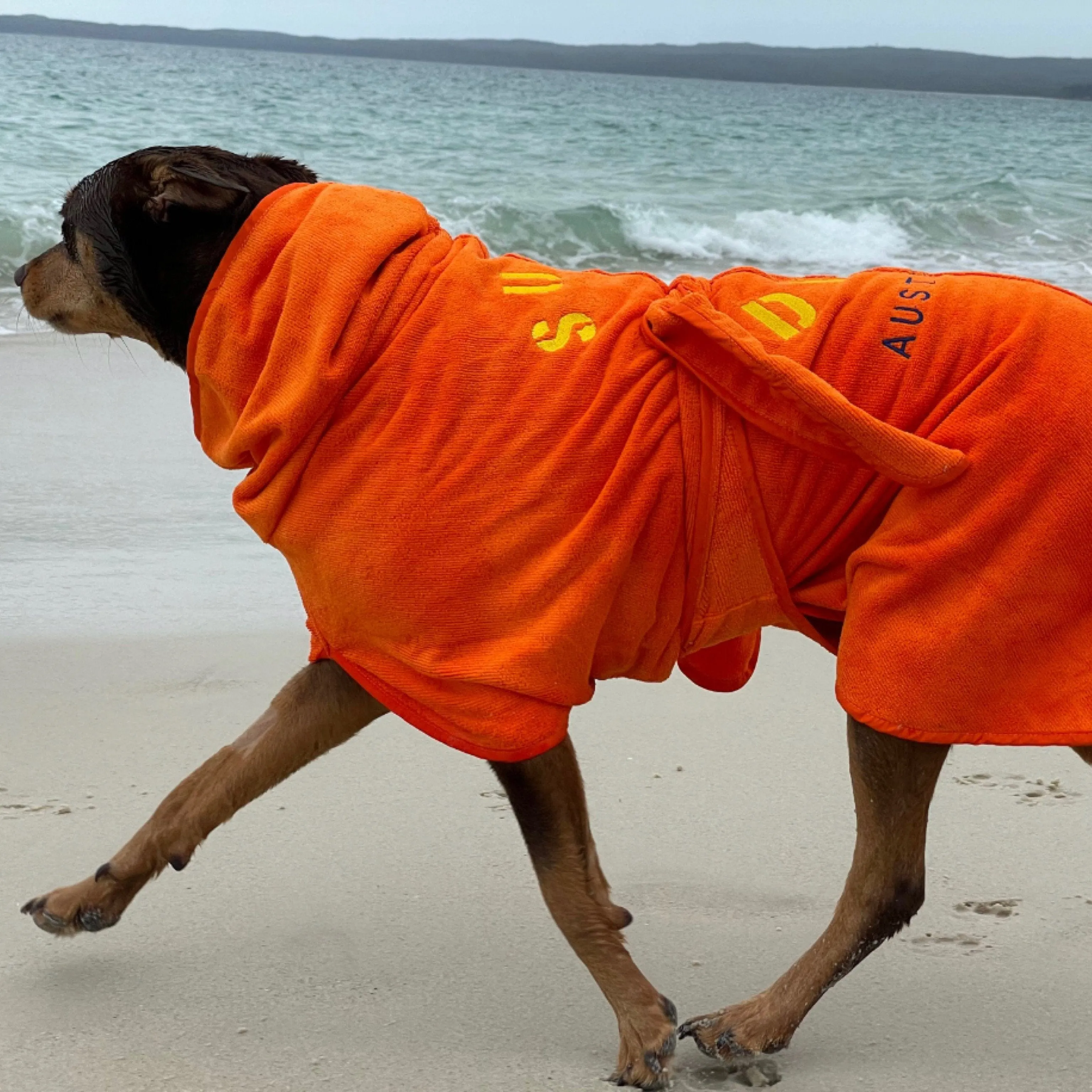 Dog Drying Coats