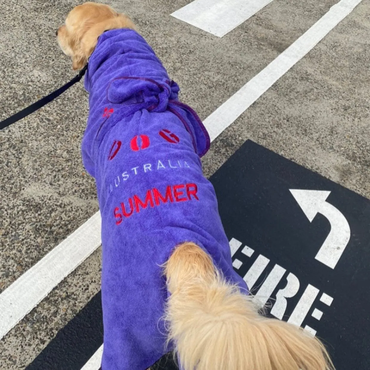 Dog Drying Coats