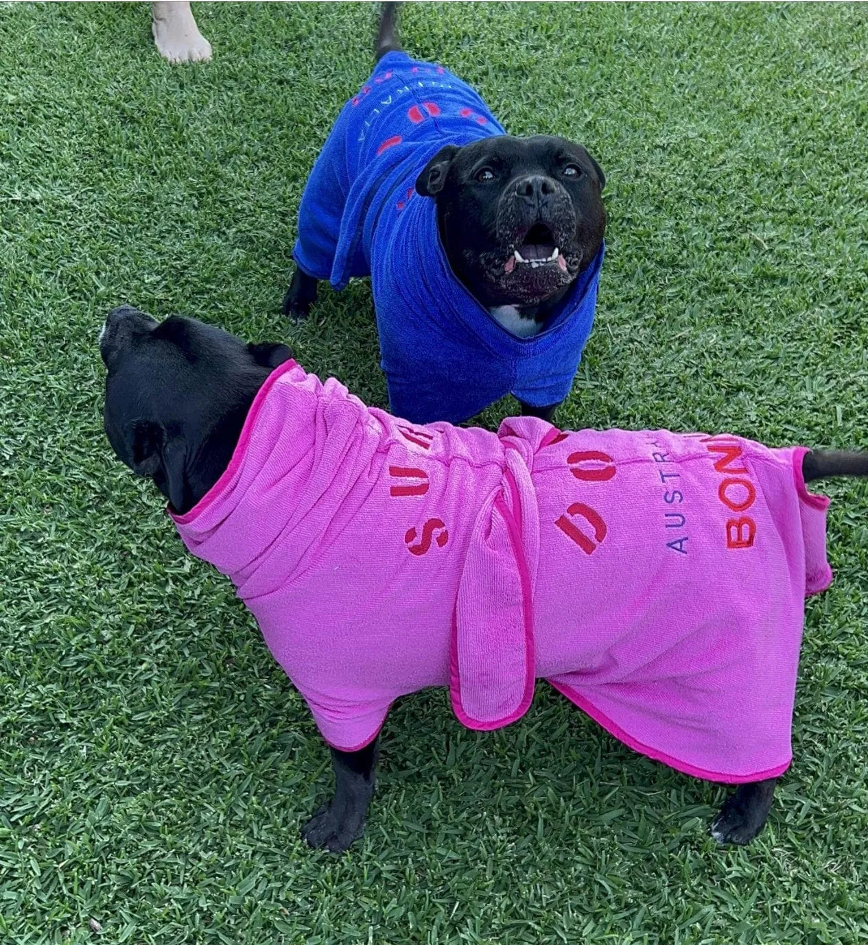 Dog Drying Coats