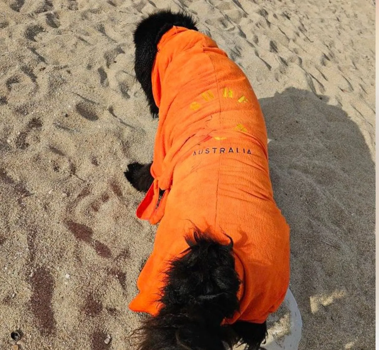 Dog Drying Coats