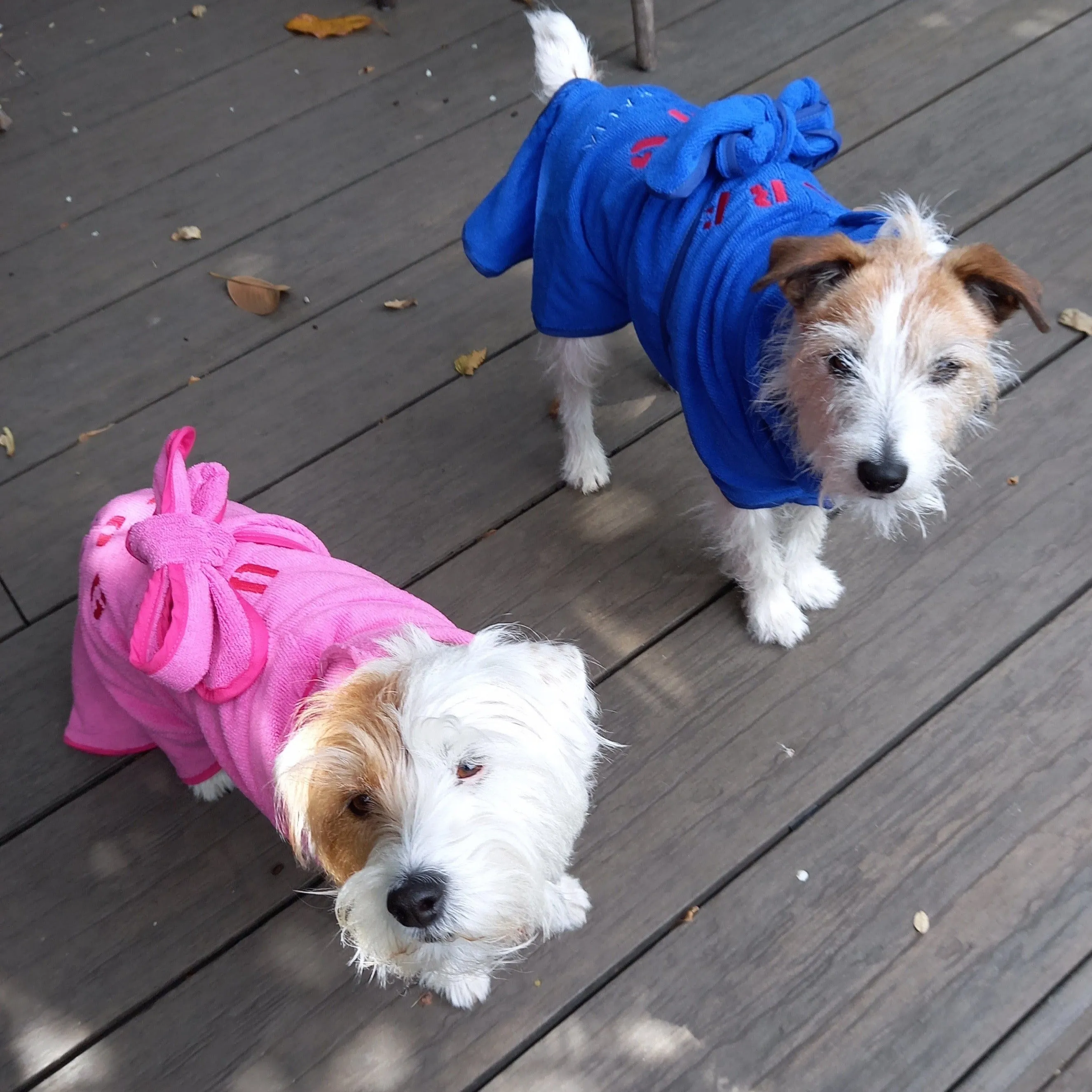 Dog Drying Coats