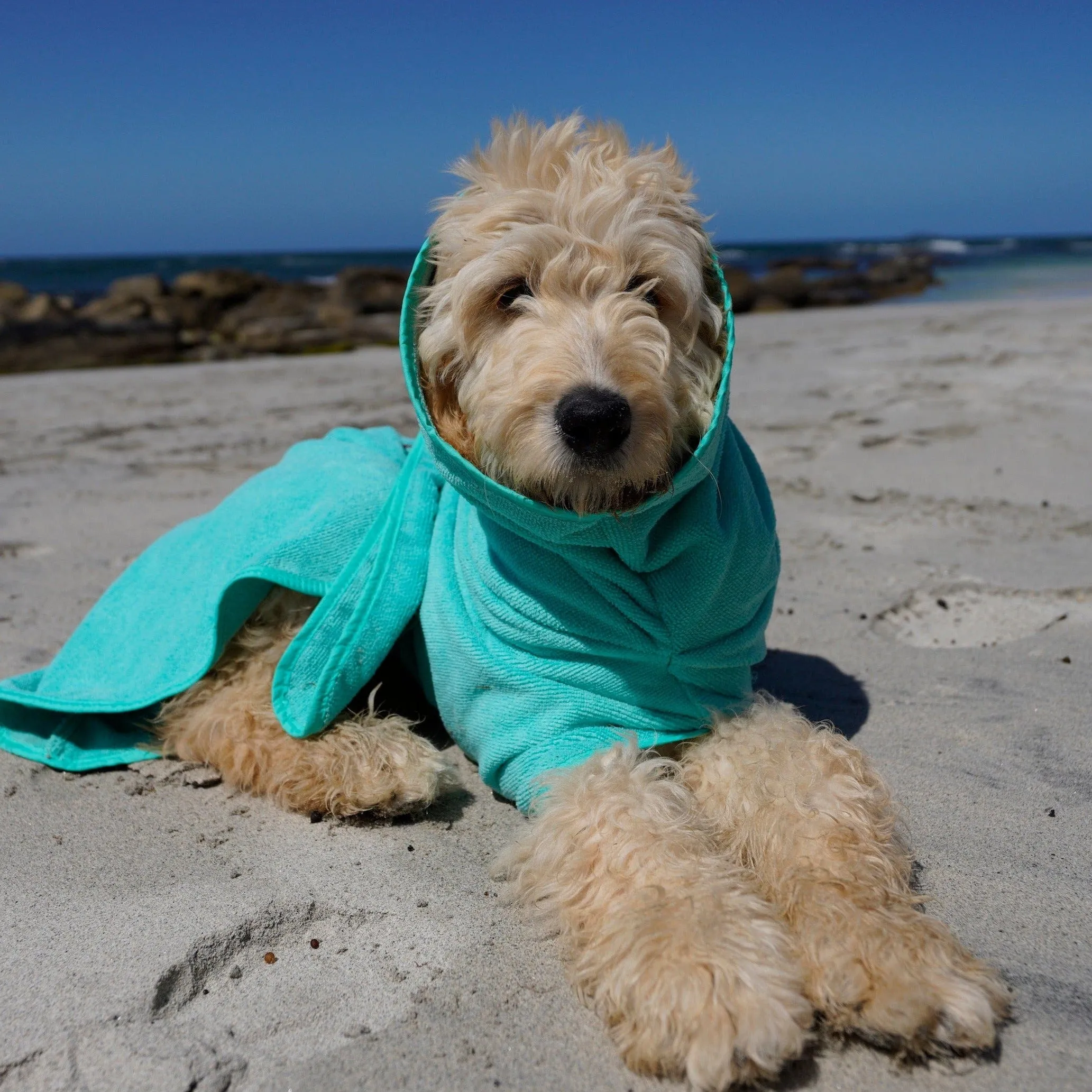 Dog Drying Coats