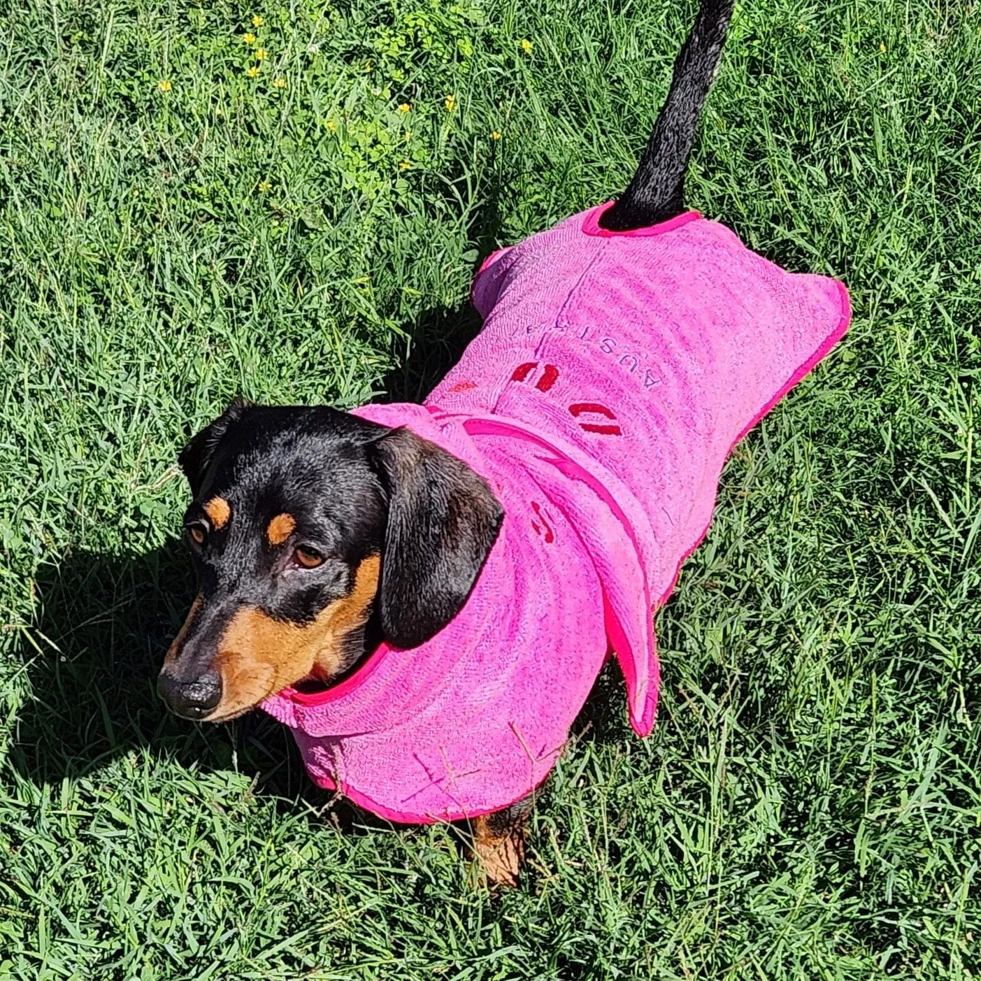 Dog Drying Coats