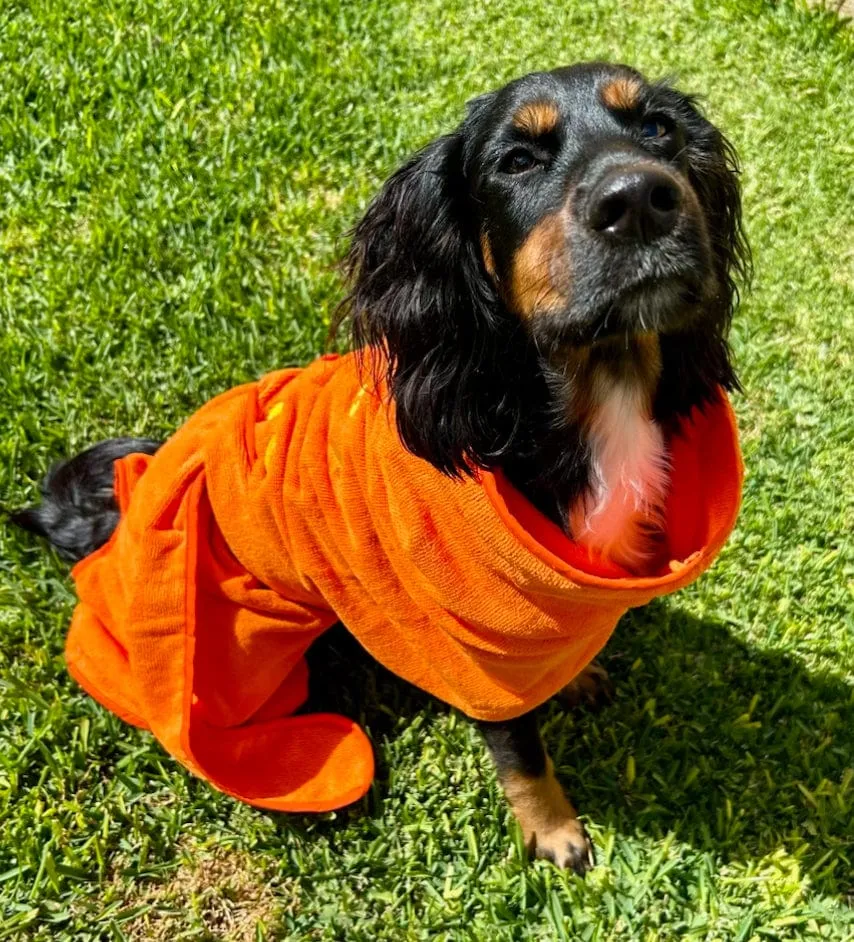 Dog Drying Coats