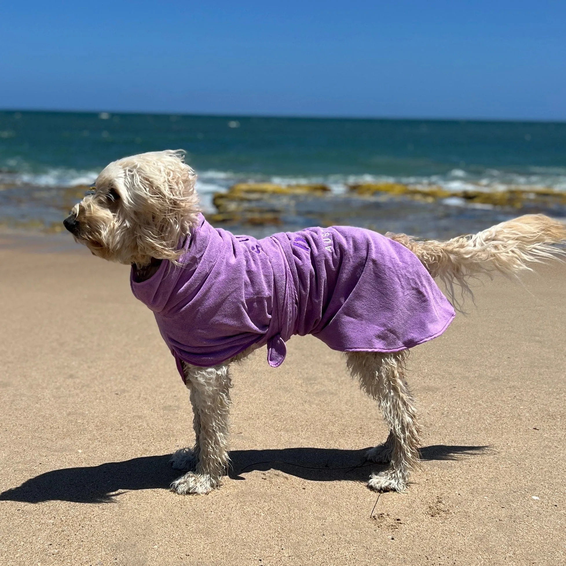 Dog Drying Coats