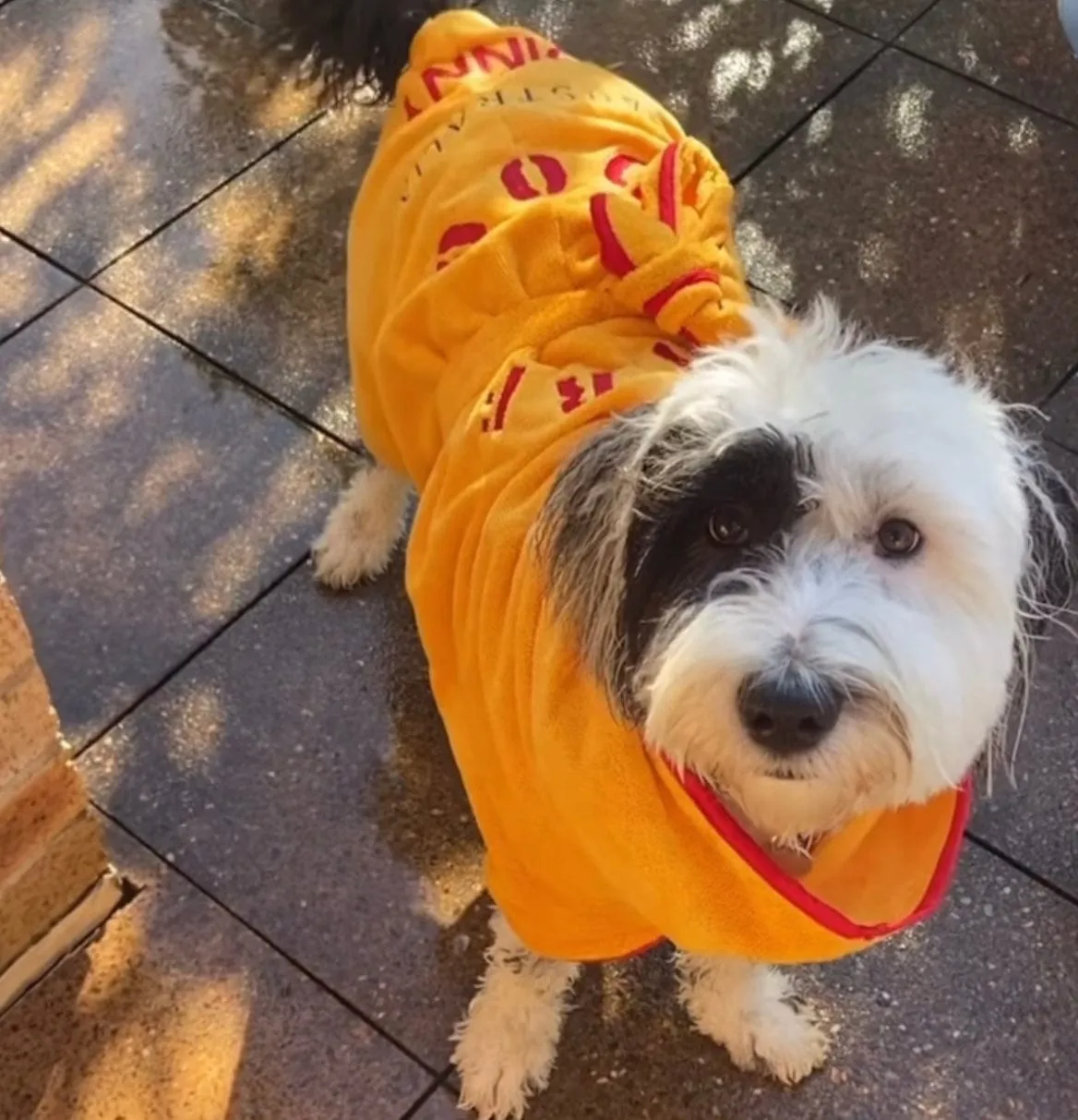 Dog Drying Coats