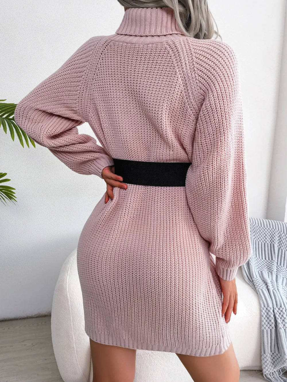 Simple Casual Button High Neck Long Sleeve Bottom Sweater Dress Wholesale Dresses