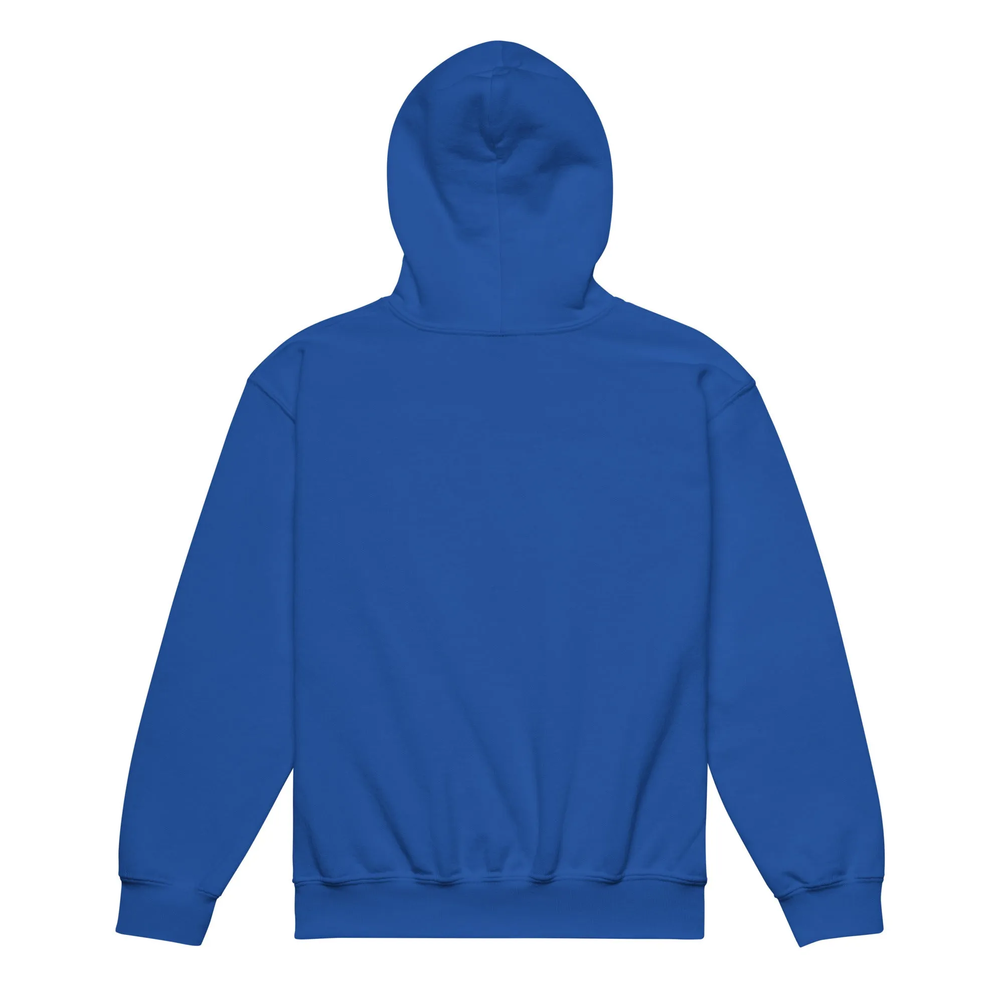 Youth heavy blend hoodie